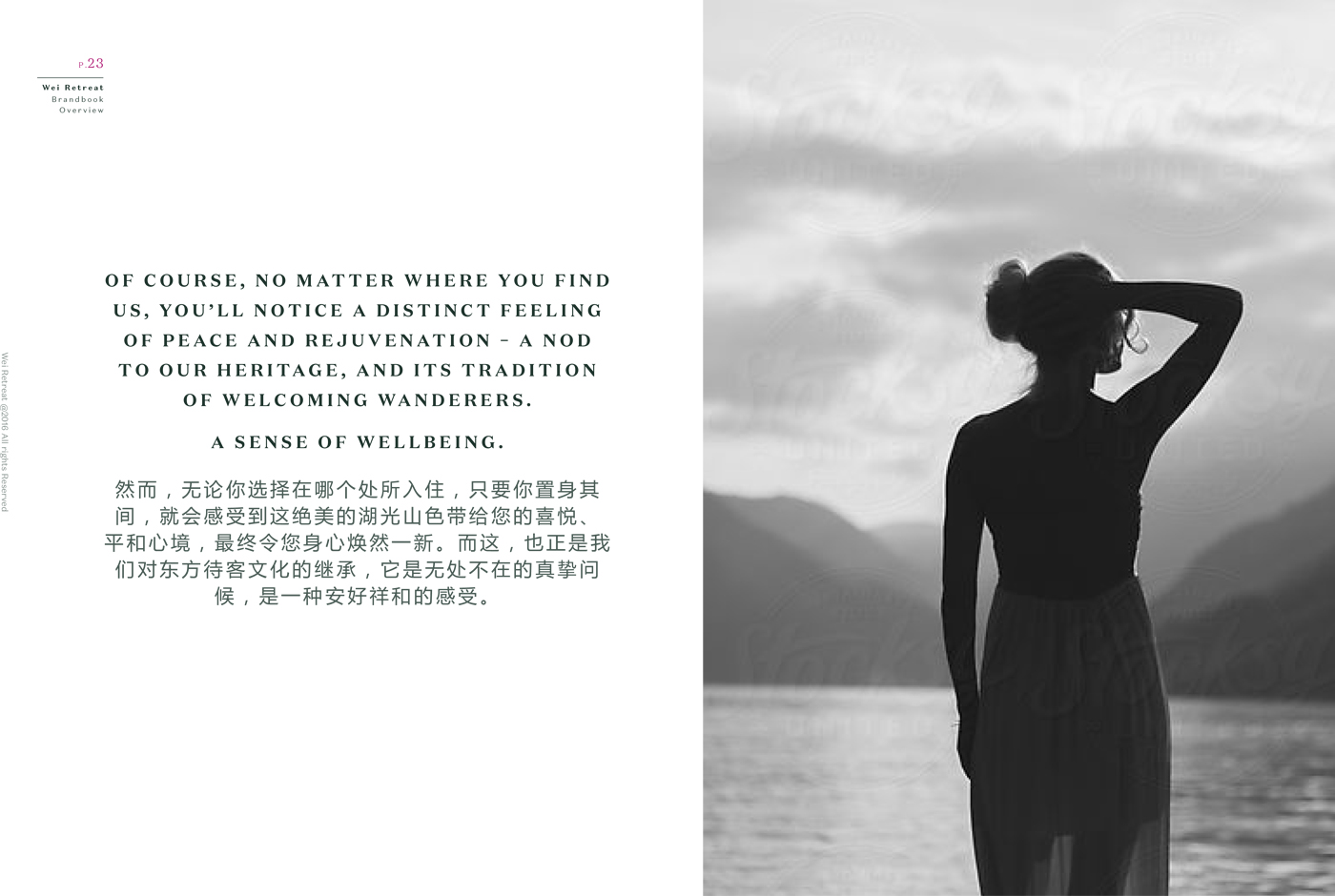 自動雙量程 分析天平PTY系列